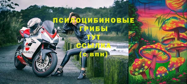 винт Балахна