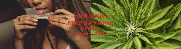 стаф Баксан