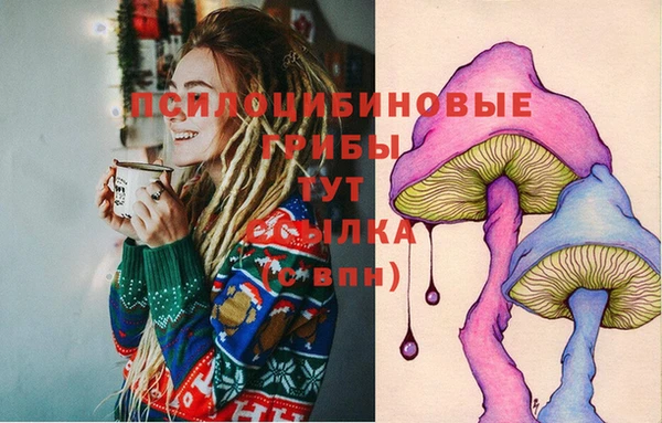 стаф Баксан