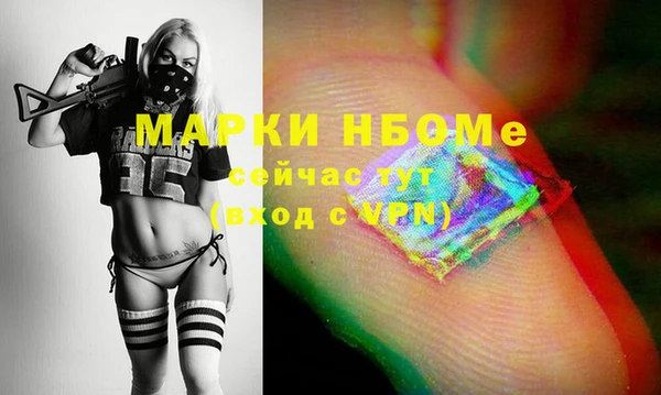 стаф Баксан