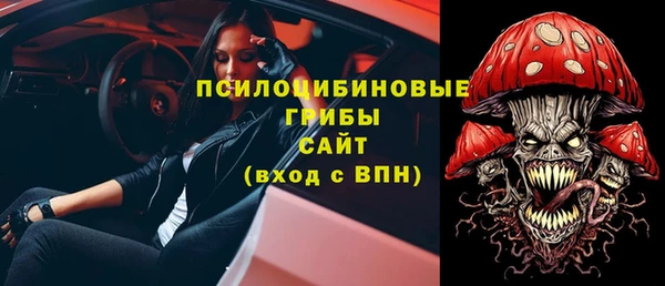 стаф Баксан